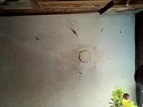 Snapshot of realoneNocap chatting on 11.12.25 realoneNocap online show from 11.12.25