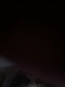 shyfr34k online show from 12.29.24