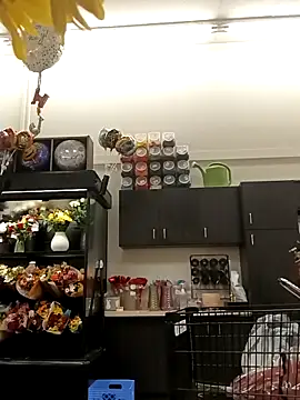 Snapshot of kobrashekyng chatting on 10.20.25 kobrashekyng online show from 10.20.25