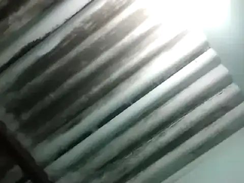 Snapshot of maximo_vega_newv chatting on 01.06.25 maximo vega newv online show from 01.06.25