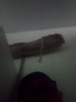 Darly Gomez online show from 02.09.25