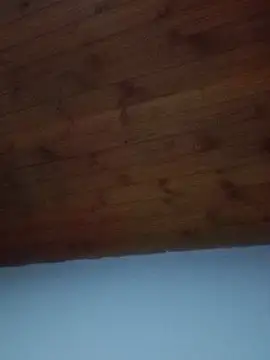 Darly Gomez online show from 02.19.25