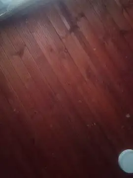 Darly Gomez online show from 03.03.25