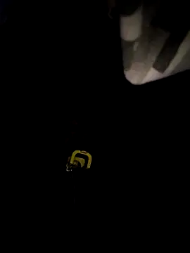 sanek1995sexx online show from 09.28.25