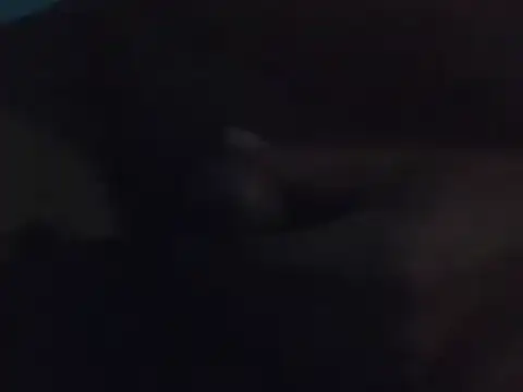 Penis58 online show from 12.15.24