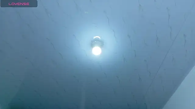 Beautifulkattia online show from 02.14.26