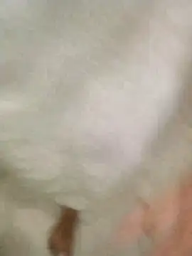 Bombi22 online show from 12.30.24