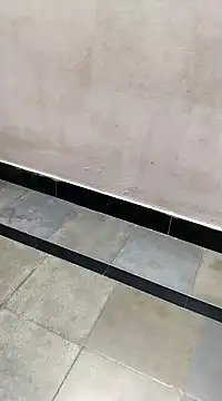 bhavanitelu online show from 03.08.25