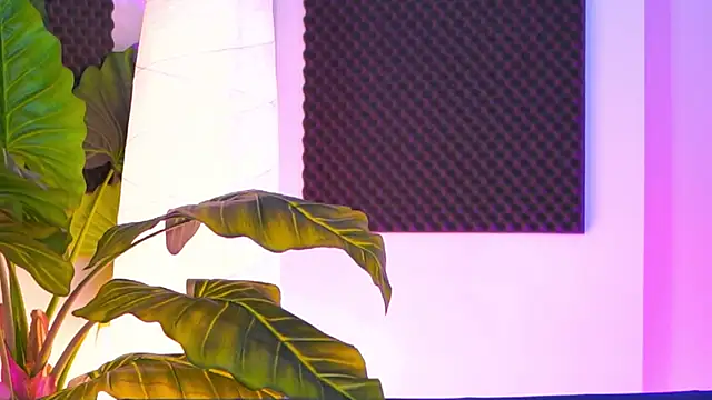 Jenna Day online show from 11.16.25