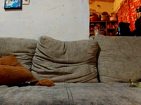 Snapshot of NewBe9D9 chatting on 11.23.25 NewBe9D9 online show from 11.23.25