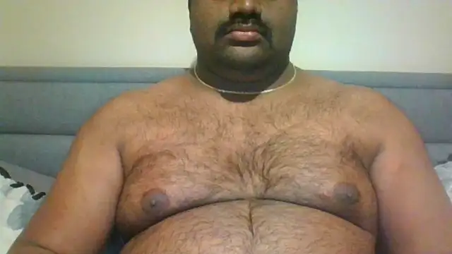 indianbearbot online show from 12.17.24