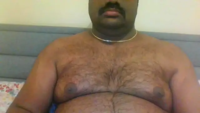 indianbearbot online show from 12.27.24