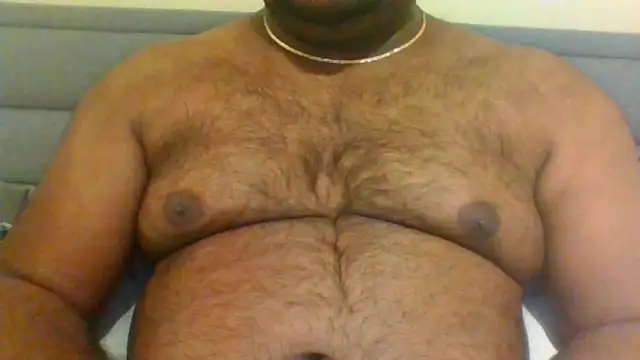 indianbearbot online show from 01.20.25