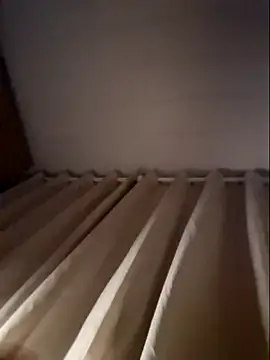 Leinad27 online show from 11.11.25