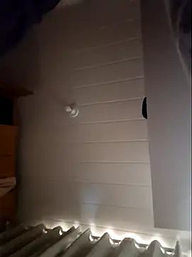 Leinad27 online show from 11.20.25