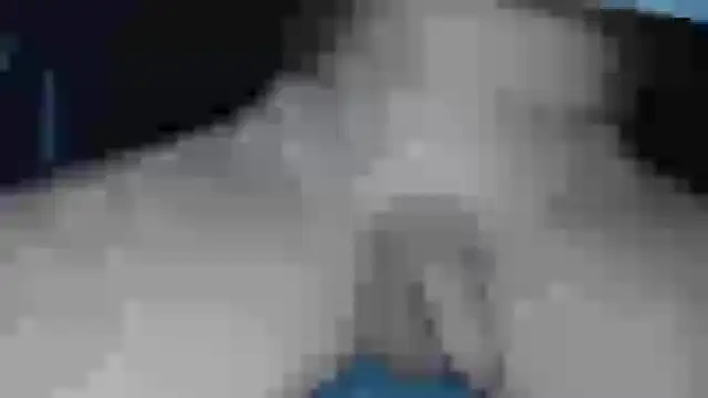 cs1512 online show from 02.13.25