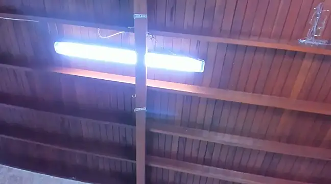 jeicob gagnon online show from 03.13.25