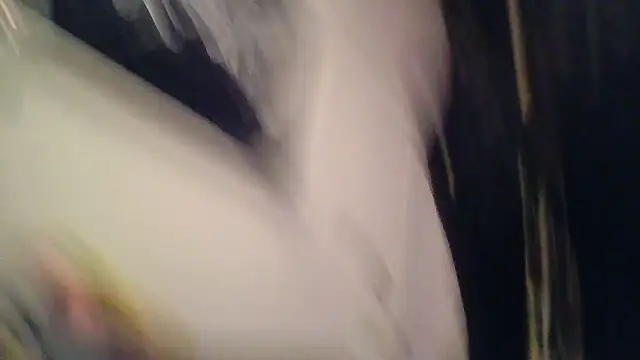 Snapshot of SilverandFox chatting on 11.05.25 SilverandFox online show from 11.05.25