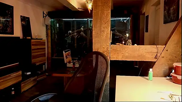 DYasmin69 online show from 11.01.25