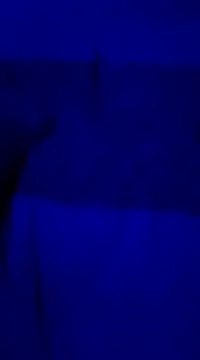 ddmgfkdmyf online show from 03.18.25