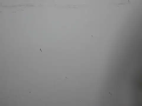 Snapshot of GoddessGlide chatting on 03.16.25 GoddessGlide online show from 03.16.25