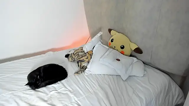 rachaeldeckard   online show from 01.25.25