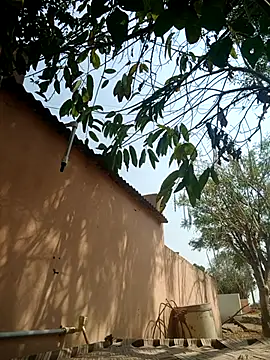 Snapshot of carria_homes chatting on 03.14.25 carria homes online show from 03.14.25