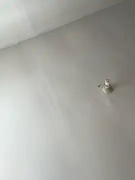 lunagonzales lima 2007 online show from 02.21.25