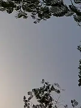 Snapshot of Whitehouse01 chatting on 12.29.24 Whitehouse01 online show from 12.29.24