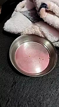 Snapshot of Whitehouse01 chatting on 01.13.25 Whitehouse01 online show from 01.13.25