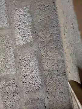 ruthaa online show from 02.28.26