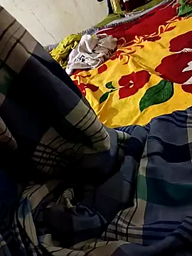 Snapshot of biharihot chatting on 12.29.24 biharihot online show from 12.29.24