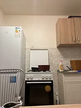 Snapshot of TheTopSecret chatting on 01.13.25 TheTopSecret online show from 01.13.25