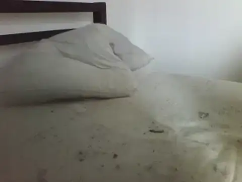 horndude187187 online show from 01.01.25