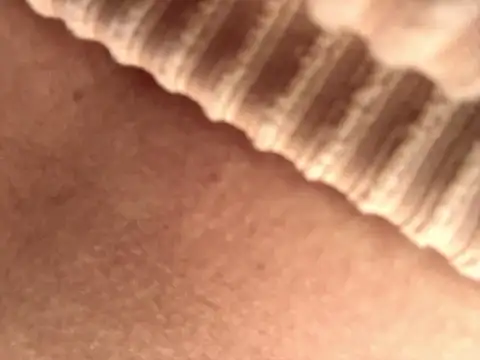 BELLA--26 online show from 09.17.25