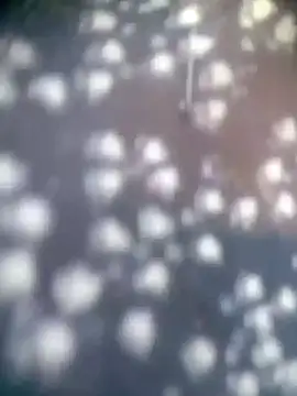 Snapshot of Amaya_Bajwa chatting on 11.15.25 Amaya Bajwa online show from 11.15.25