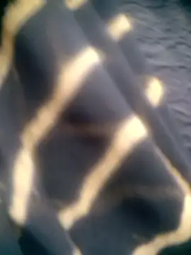 Snapshot of Amaya_Bajwa chatting on 12.15.25 Amaya Bajwa online show from 12.15.25