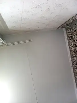 Lauren Amabel online show from 11.12.25