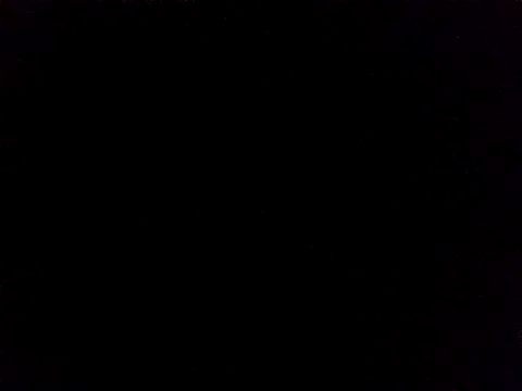 Lauren Amabel online show from 11.24.25