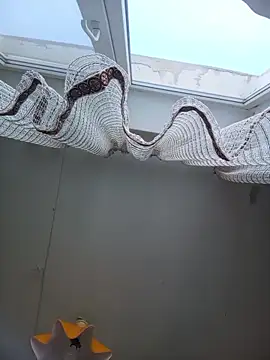 Lauren Amabel online show from 02.22.26