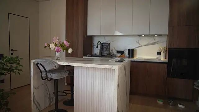 Tokyo N online show from 03.07.26