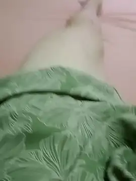 curtindo-muito82 online show from 02.11.26