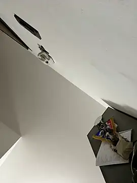 ilmaestoso online show from 02.21.25