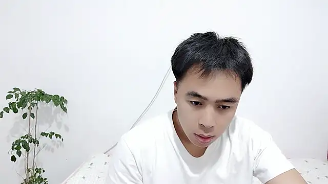                     88 online show from 02.04.26