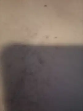 dany hardy online show from 03.24.26