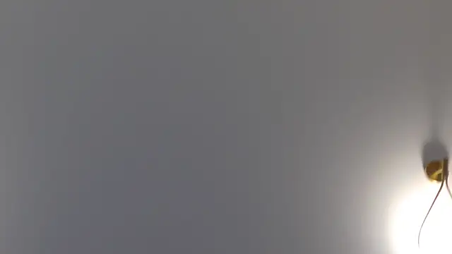 Lilliana Moon online show from 01.30.25