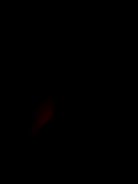 xxxxGuruxxxx online show from 03.10.25