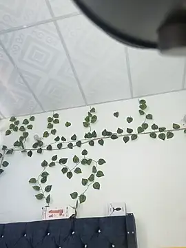 miaa--pervert online show from 01.15.25