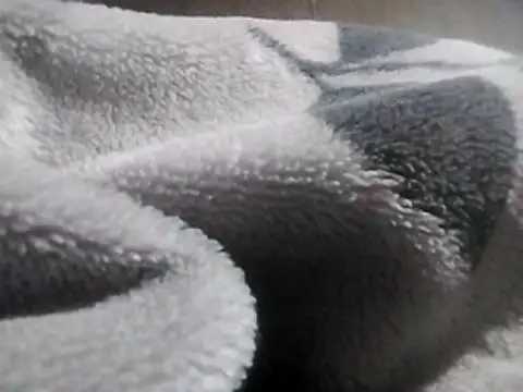 Snapshot of LaneYam chatting on 03.12.26 LaneYam online show from 03.12.26