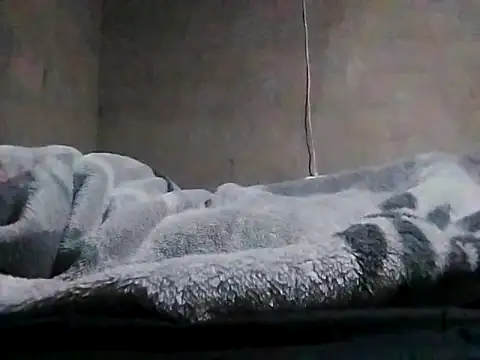 Snapshot of LaneYam chatting on 03.24.26 LaneYam online show from 03.24.26